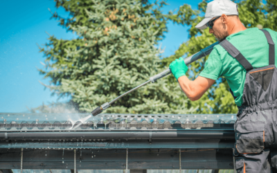 Why You Need a Roof Cleaning?