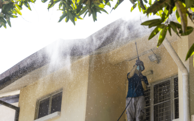 A Cleaner Roof, a Healthier Home: Unveiling the Benefits of Professional Roof Cleaning